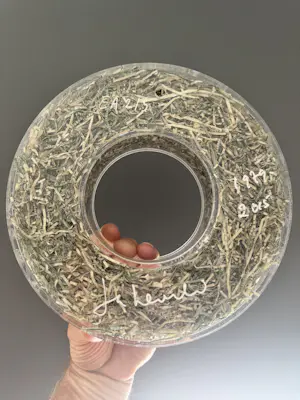 Jan Henderikse - ZERO - Shredded Value kopen? Bied vanaf 1500!