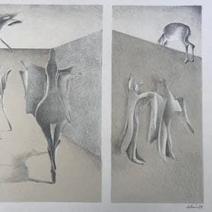 Albert Debois - Originele kleurenlitho - 1978 - 131/150 - Gesigneerd kopen? Bied vanaf 75!