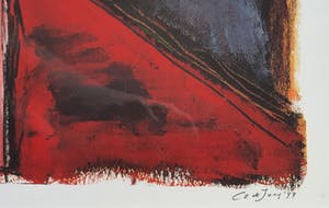 Cor de Jong - Contemplation | Ingelijst kopen? Bied vanaf 45!