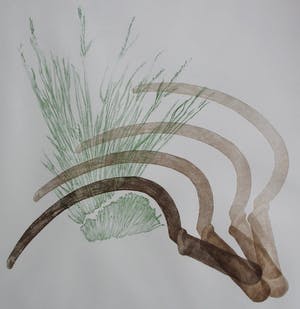 Dies de Jonge - ets/aquatint - 1982 kopen? Bied vanaf 30!