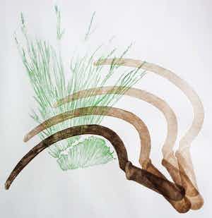 Dies de Jonge - ets/aquatint - 1982 verkocht voor € 30!