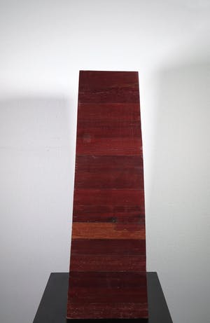 Ditte Langenhorst - Hout, Aandacht (Zwaar) kopen? Bied vanaf 100!