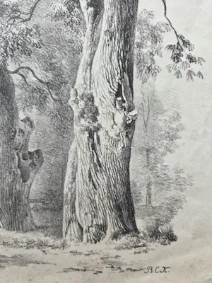 Barend Cornelis Koekkoek - Bomen. Litho. kaufen? Bieten Sie von 20!