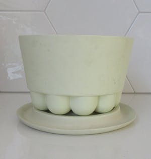 Cor Unum - Zeldzame citrus pastel kleurige Fruittest ontwerp Jeanine Keizer v HS Den Bosch kopen? Bied vanaf 40!