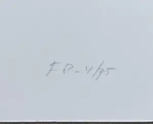 Joost Baljeu - Inner Dimensions, zeefdruk (groot) kopen? Bied vanaf 125!