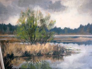 Claartje Mermans-Zoetmulder - Vennetje in Brabant kopen? Bied vanaf 150!