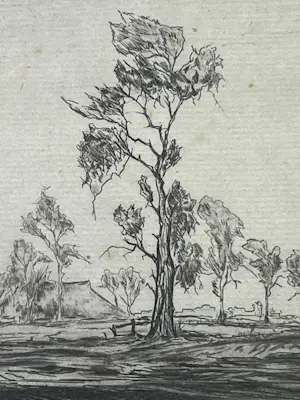 Johan Faber - Ets - Gronings landschap - Groninger Ploeg kopen? Bied vanaf 90!