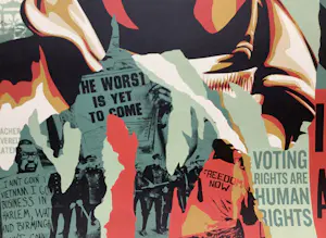 Shepard Fairey - Voting Rights kopen? Bied vanaf 25!