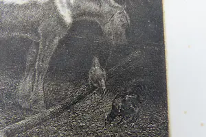 Jan Vrolijk - Etend paard met kippen in de stal - 19e eeuwse ets kopen? Bied vanaf 25!
