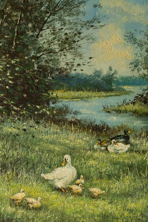 Toon Wildeboer - eenden in landschap kopen? Bied vanaf 20!