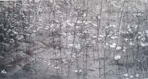 Reinder Homan - Ingelijste ets Bloeiende sloot (waterviolier) verkocht voor € 45!