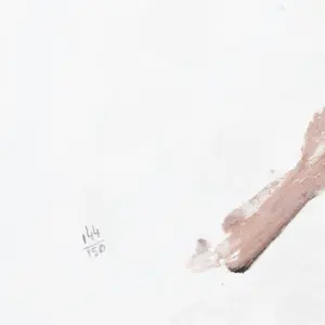 Charlotte Molenkamp - Vogel kopen? Bied vanaf 100!