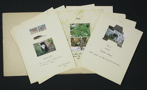 Peter Hutchinson - Alphabet Cottage - About a garden and the changes that take place. kopen? Bied vanaf 20!