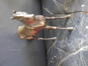 Niet of onleesbaar gesigneerd - paard kopen? Bied vanaf 10!