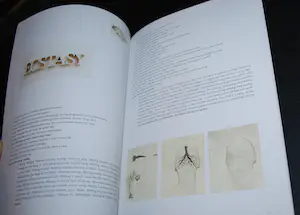 Simon Benson - Gesigneerd boek 'Do you still hear the birds singing' kopen? Bied vanaf 25!