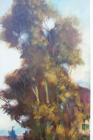 Pie Wilhelmus - Koeien in het Geuldal kopen? Bied vanaf 65!