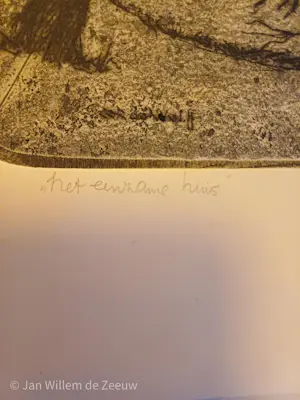 Cor de Wolff - Het eenzame huis kopen? Bied vanaf 50!