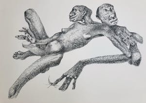 Melle Oldeboerrigter - lot van 2: litho en incomplete map (12 van de 14) reproducties kopen? Bied vanaf 65!