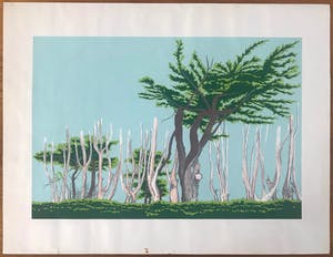 Buy Sees Vlag - Gesigneerde zeefdruk - Bomen l'ile - Grande - 1971? Bid from 35!