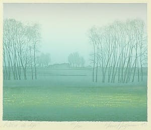 Hans Heijman - Kleurenets, Maas bij Poederoyen - Ingelijst kopen? Bied vanaf 20!