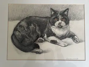 Ella van Schaik - Poes ! kopen? Bied vanaf 1!