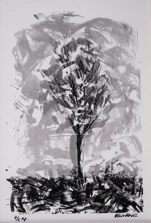 Niet of onleesbaar gesigneerd - Bomen kopen? Bied vanaf 1!