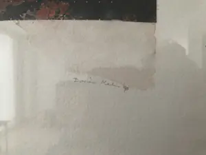 Dorien Melis - Samengevallen Tijd kopen? Bied vanaf 275!