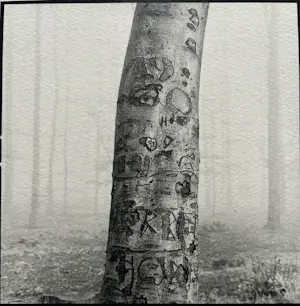 Ralph Janowski - 2x zeefdruk kopen? Bied vanaf 32!