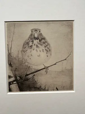 Jan Mankes - Heliogravure " Lijster op tak " kopen? Bied vanaf 175!