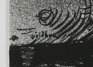 Aat Veldhoen - Lot van twee rotaprints kopen? Bied vanaf 50!