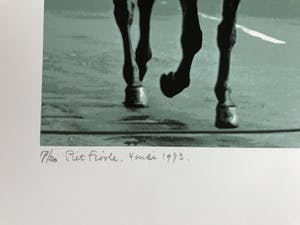 Piet Fioole - 4 mei 1973 kopen? Bied vanaf 35!