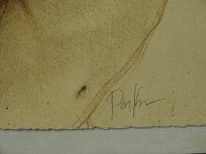 Michael Parkes - "Amazonian princess"- litho - handgesigneerd - 1983 - ingelijst kopen? Bied vanaf 125!