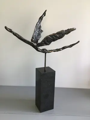 Corry Ammerlaan - “ Met het juiste doel voor ogen “. kopen? Bied vanaf 139!