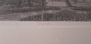 Philip Wiesman - Digitalis (Utrechtse Heuvelrug) kopen? Bied vanaf 150!