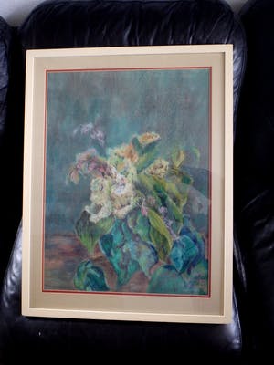 Buy Nita Homberg-Hannema - bloeiende plant? Bid from 75!