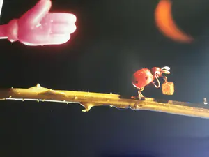 Henk Tas - Beetles out! kopen? Bied vanaf 20!