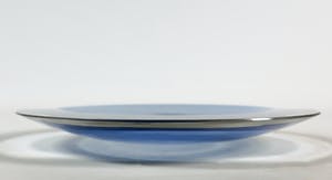 Carina Riezebos - Optisch glazen disk kopen? Bied vanaf 50!