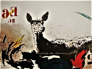 Simon Koene - Fraaie Handgekleurde Ets - Oplage 75 ex. - Havik en Hert - potloodgesigneerd kopen? Bied vanaf 30!