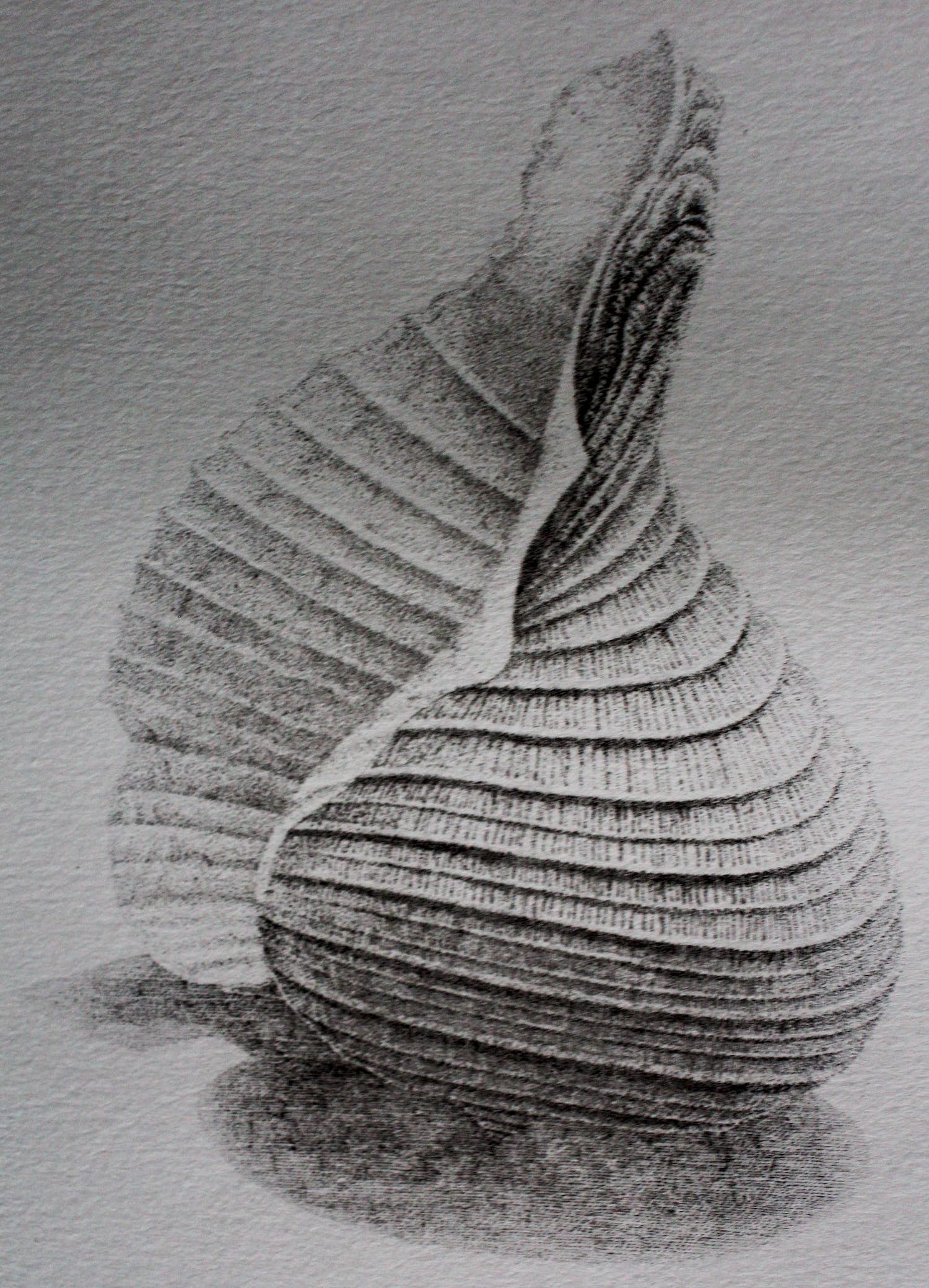 Gerard van Rooy - Ets: Rapa rapa - 1980 verkocht voor € 55!