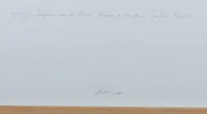 Ton Zwerver - Foto, Sculptuur voor het moment Matadoro Sao-Paulo - Ingelijst (Groot!) kopen? Bied vanaf 150!