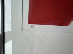 Jeroen Henneman - rode daken kopen? Bied vanaf 200!