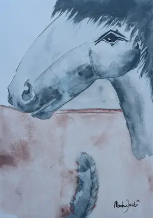 Martine Jacobs - Edel paard kopen? Bied vanaf 89!