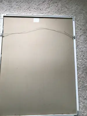 Carla Raadsveld - Tijger kopen? Bied vanaf 75!