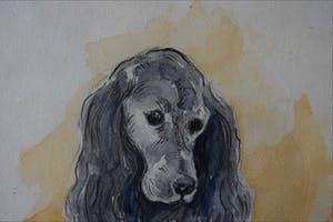 Kees Heynsius - Aquarel - "Flip" kopen? Bied vanaf 75!