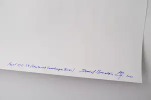 Imanol Marrodán - Imanol Marrodán - EL29 (Emotionale Landschaften) kopen? Bied vanaf 70!