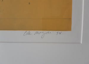 Cole Morgan - A CLICO kopen? Bied vanaf 200!