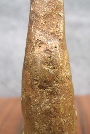 Brons (Onbekend) - Vrouw met hoed. kopen? Bied vanaf 45!