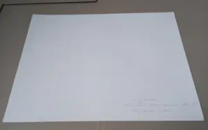 Cecily Brown - Plakat American Dance Festival 2001 kopen? Bied vanaf 180!