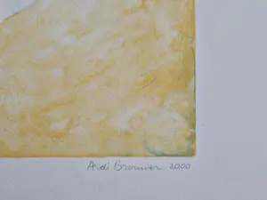 Ardi Brouwer - Fraaie polychrome zeefdruk "het huis van de verzamelaar" zeer kleine oplage! kaufen? Bieten Sie von 44!