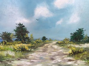 Henk Poeder - Landschap op de Veluwe met veel Brem kopen? Bied vanaf 50!